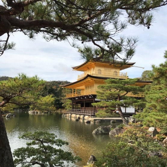 Japan trees